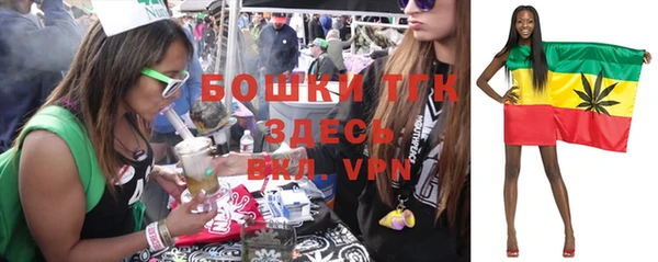 экстази Богородицк