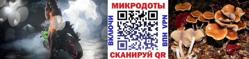Галлюциногенные грибы Cubensis  Зея 